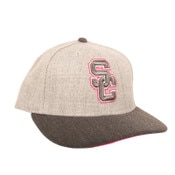 USC Trojans Team Trojan Gray SC Interlock Low Profile Hat